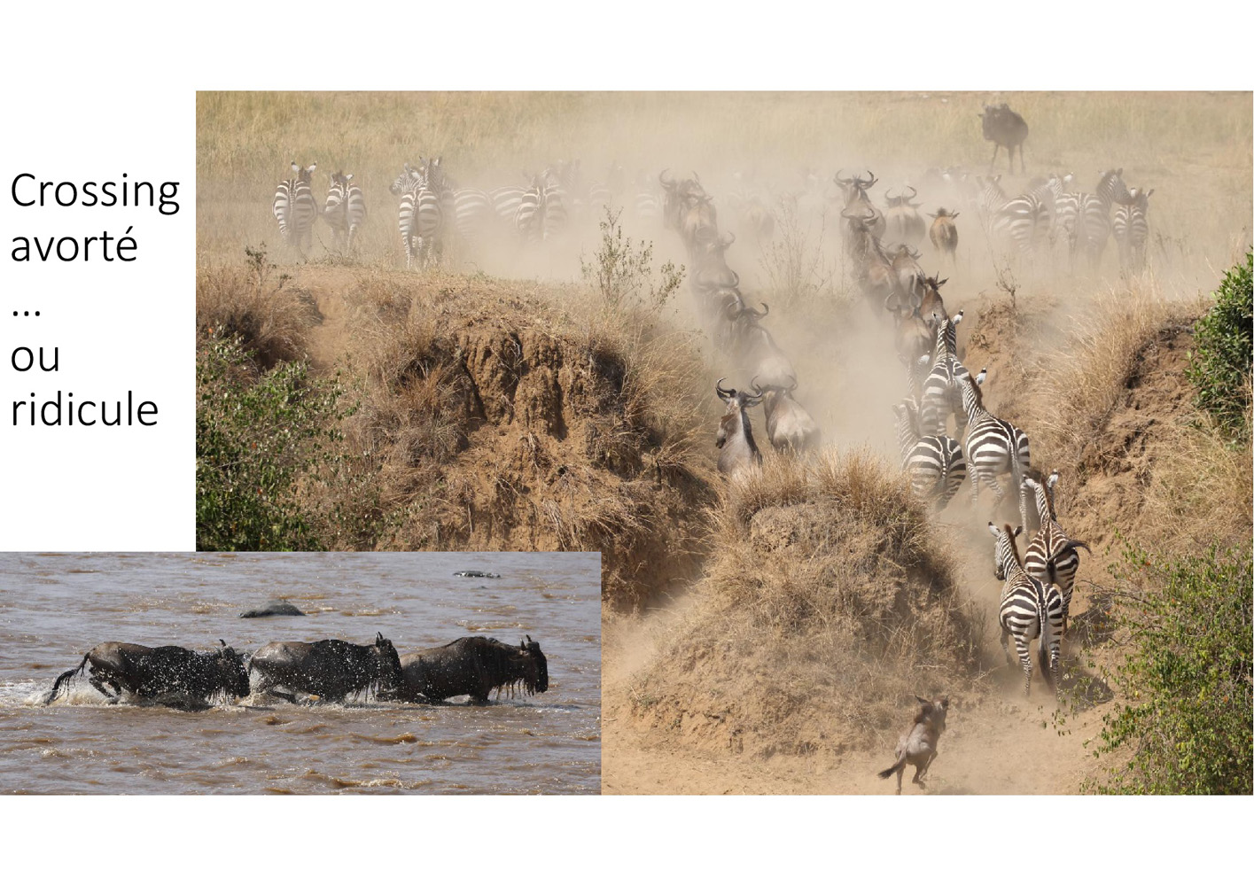 2017-safari_kenya-02