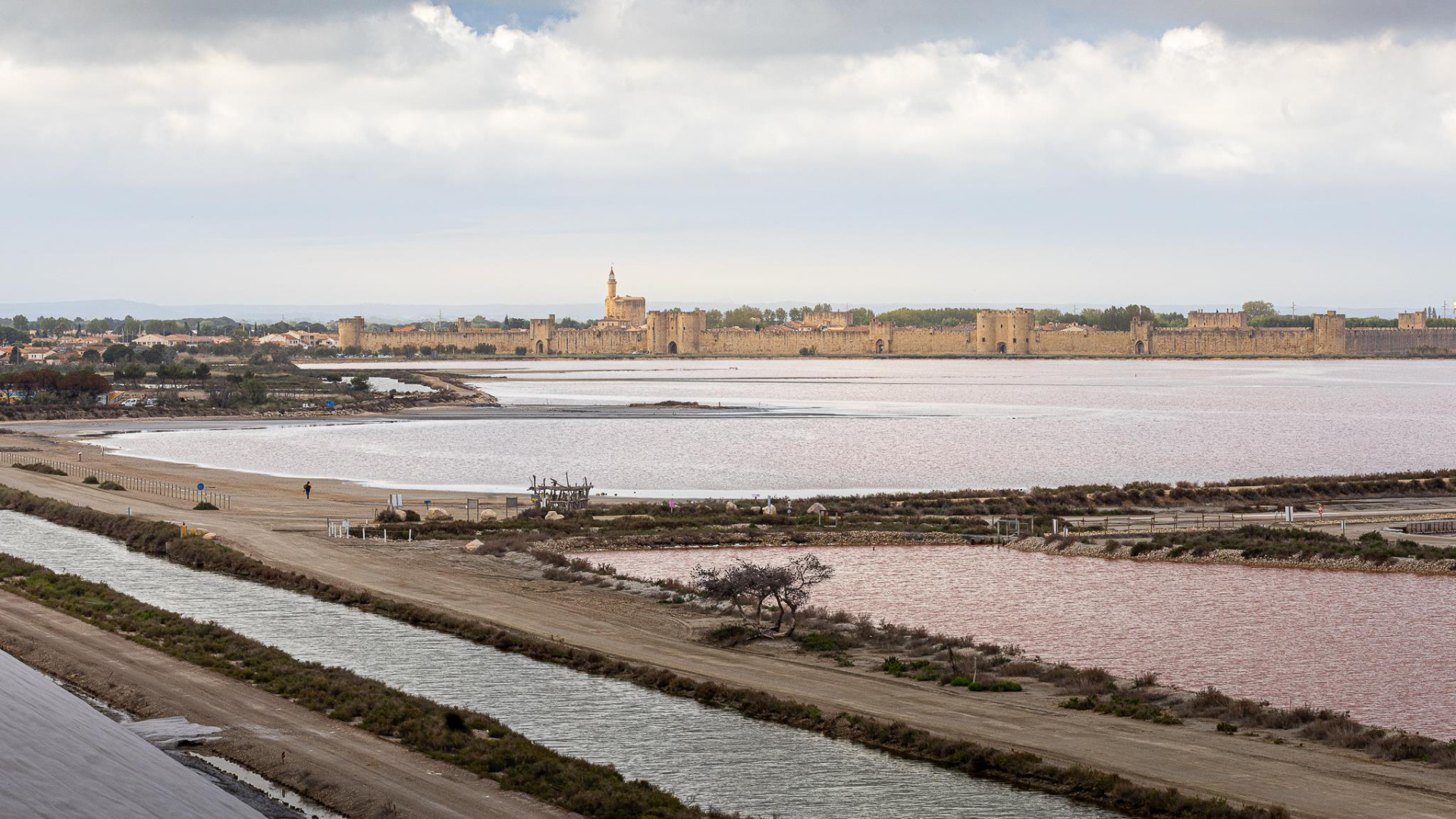 Camargue