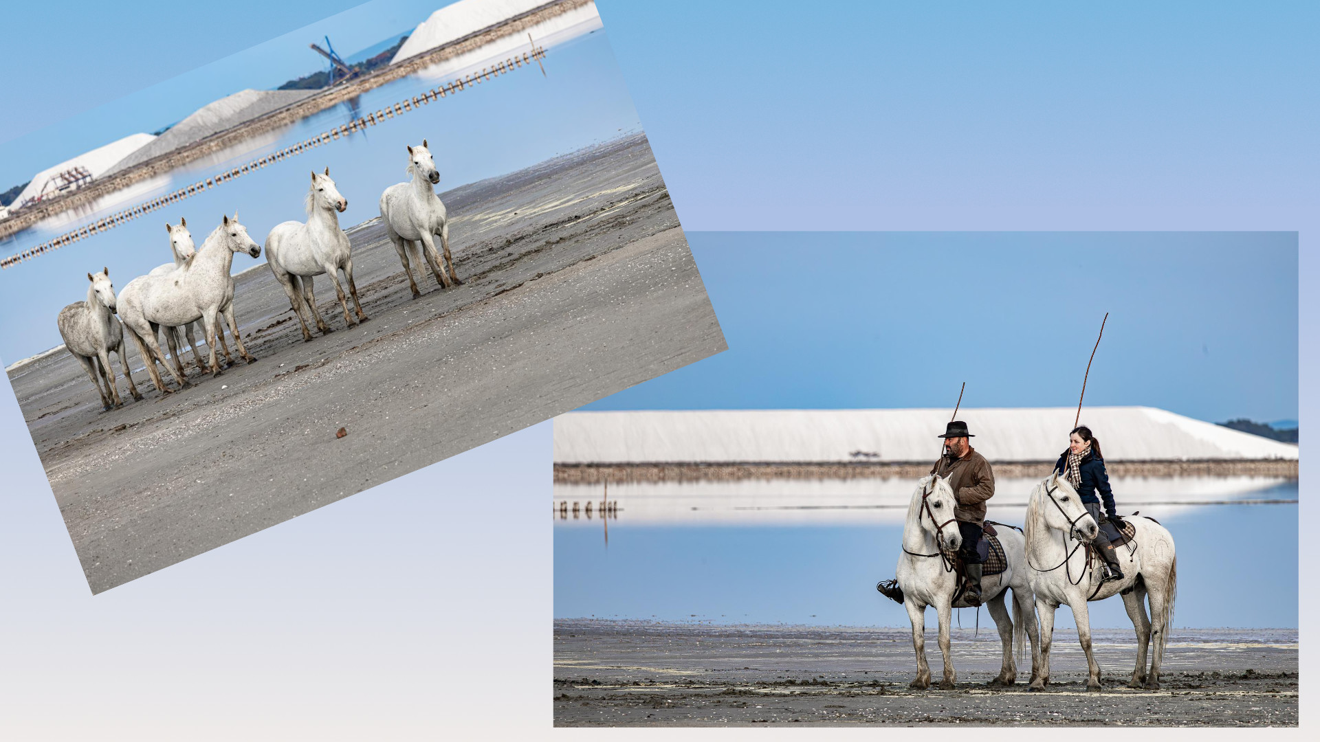 Camargue