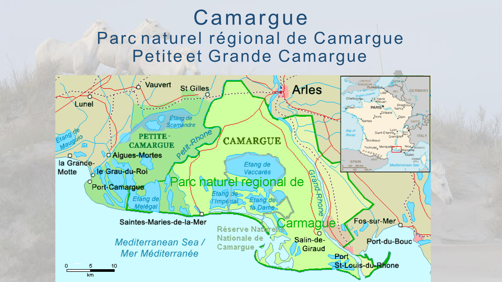 Camargue