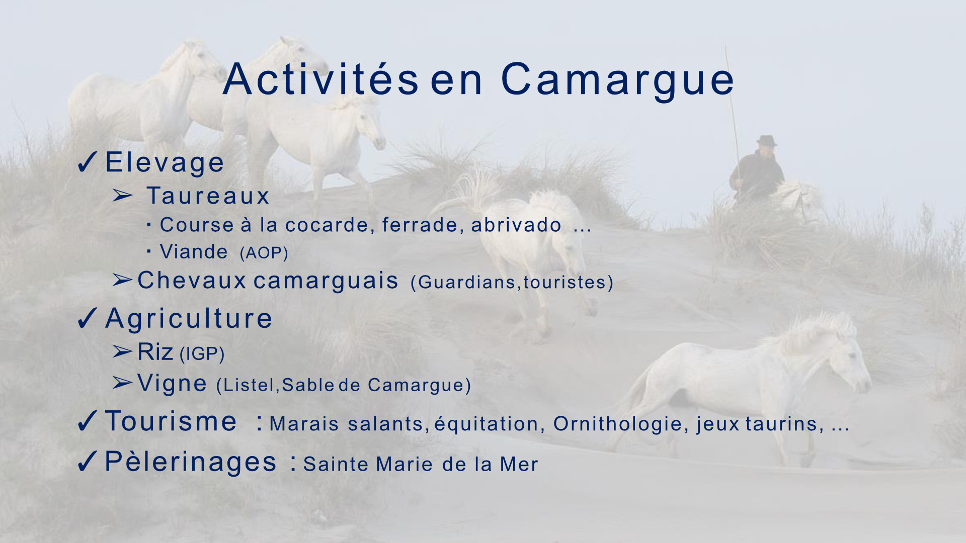 Camargue