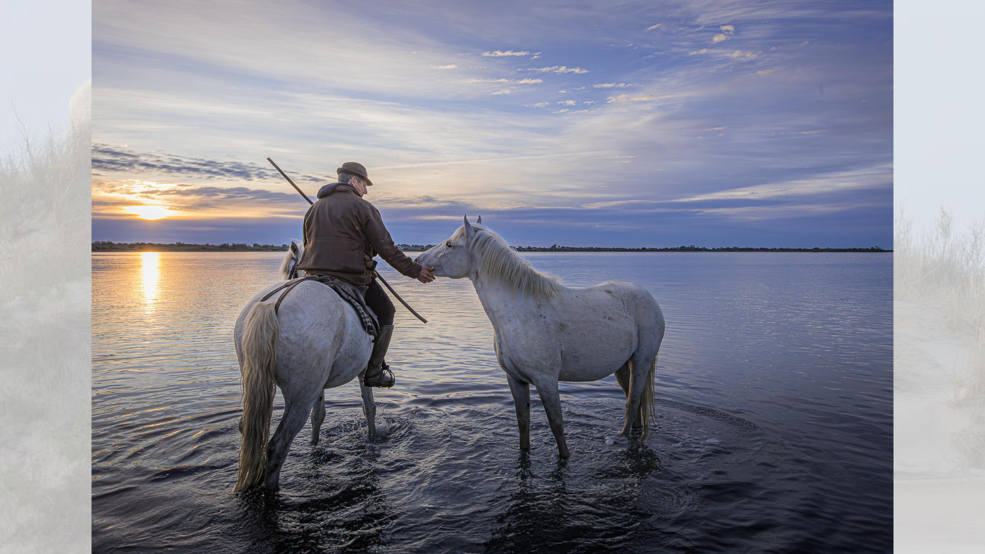 Camargue