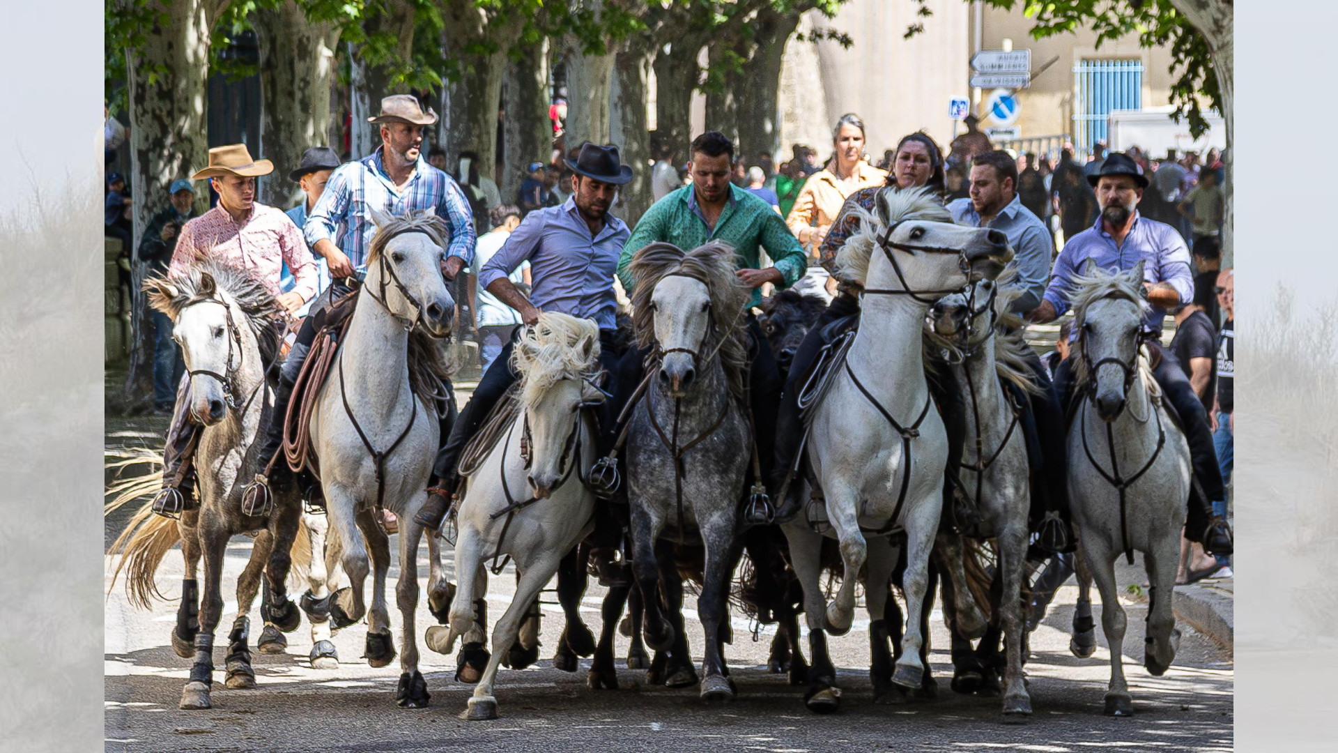 Camargue