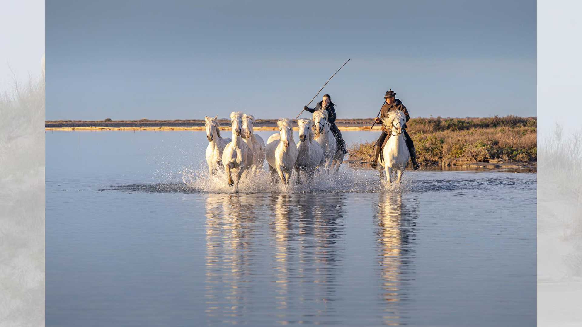 Camargue