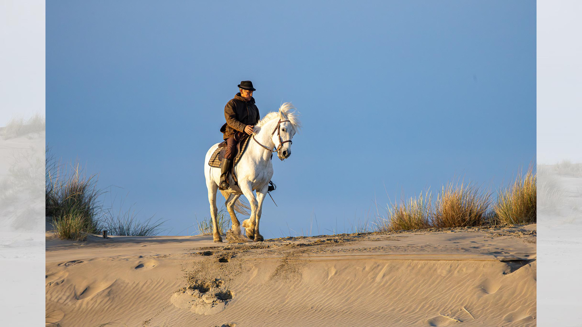 Camargue