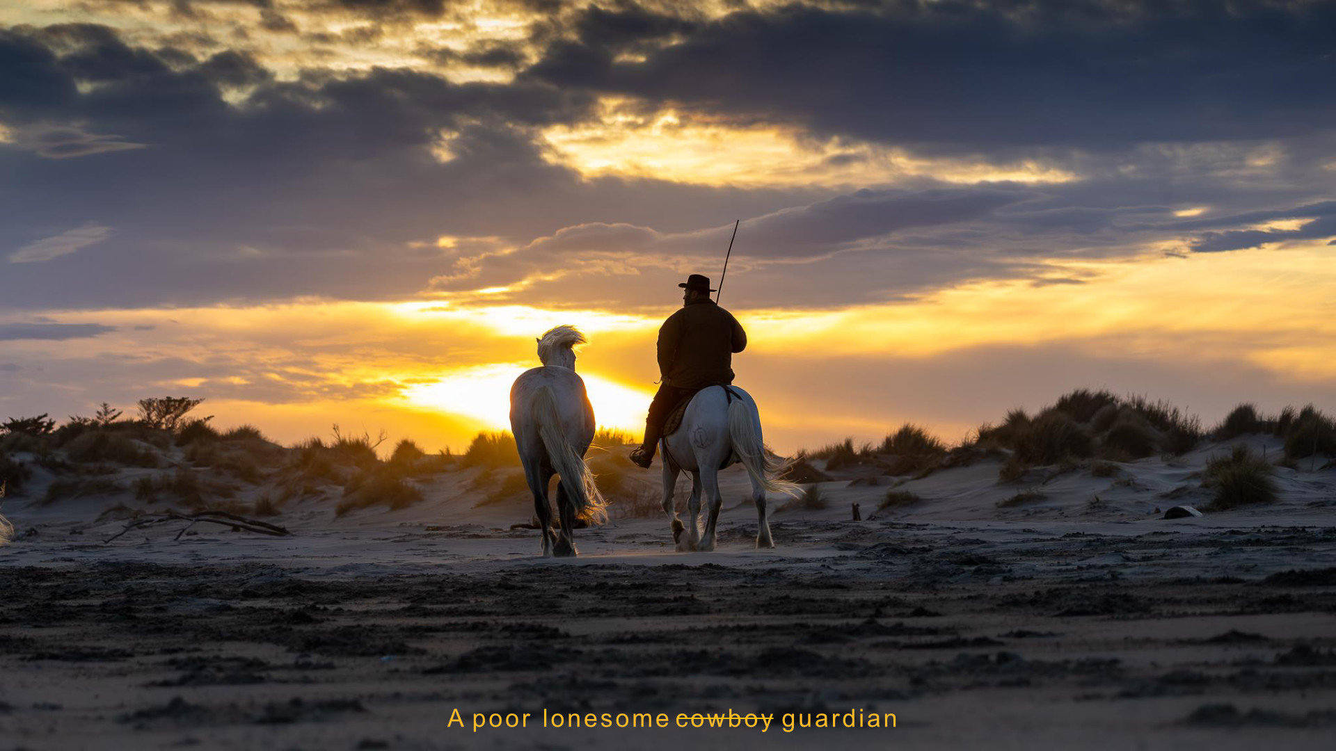 Camargue